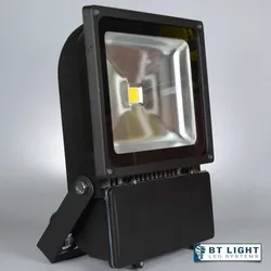 LED Fluter, LED Außenstrahler, Scheinwerfer 100W (Gehäuse farbe: schwarz)
