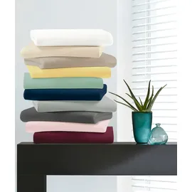 BIERBAUM Spannbettlaken Jersey 140 x 200 - 160 x 220 cm weiß