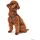 Hunter Hilo Comfort Hundegeschirr Rot M-L