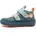 Hase Gr 24