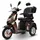 Efun ECO ENGEL 504 Elektromobil 25 km/h 1000 Watt braun