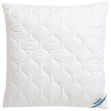 Beco Kopfkissen »EcoWell«, Füllung: Polyester, Bezug: Bio-Baumwolle oder nachhaltiger Microfaser-Feinbatist samtweich, (1 St.), Kissen in den Größen 40x80 cm und 80x80 cm erhältlich!, beige