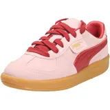 Puma Palermo