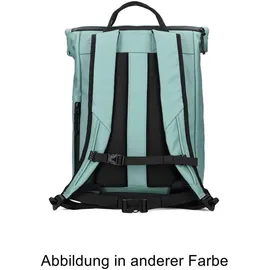Zwei Cargo CAR260 Coral