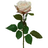MARELIDA Rose am Stiel Kunstblume Rosenblüte künstliche Blume Real Touch H: 68cm creme
