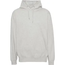 Basic Hoodie - Aschegrau - Mann - TeeShoppen