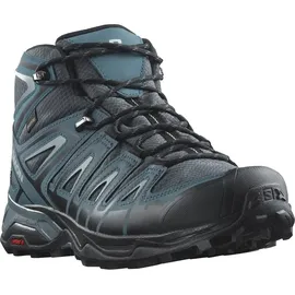 Salomon X Ultra Pioneer Mid GTX Herren Ebony/Stargazer/Quarry 40 2/3