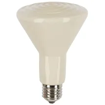 Kerbl Siepmann Infra-Dunkelstrahler, Terrarium