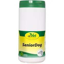 Senior Dog