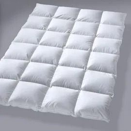 billerbeck Ambiente Kassette II 200 x 200 cm