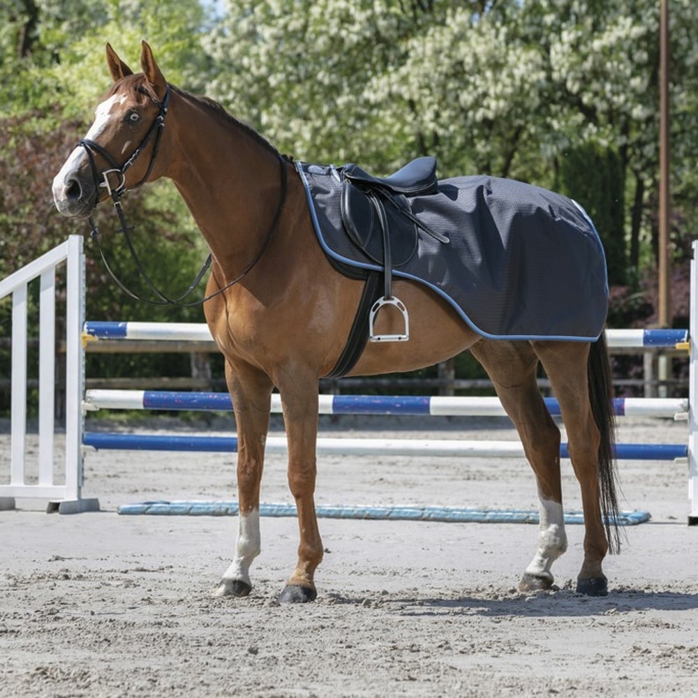 Equithème Tyrex 1200D Nierendecke mit Polarfleece Fütterung - grau/blau, 125