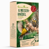 Gärtner Pötschke Ganzjahres-Meisenknödel für Wildvögel, ohne Netz, 6 Stück