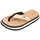 F2 Beige 38