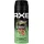 Axe Jungle Fresh Bodyspray 2 x 150 ml