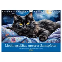 Calvendo Lieblingsplätze unserer Samtpfoten (Wandkalender 2026 DIN A4 quer),