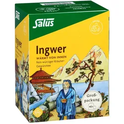 Ingwer Kräuter-Gewürztee-Mischung bio Salus