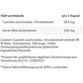 GN Labaratories Ecdysterone Kapseln 60 St