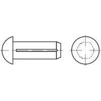 Industrial Quality Supplies DIN 1476 Halbrundkerbnagel, MS 2x3 KP