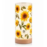 Formano LED Deko Licht Sonnenblumen Stimmungslicht Glaszylinder 20 cm Holzsockel - Bunt