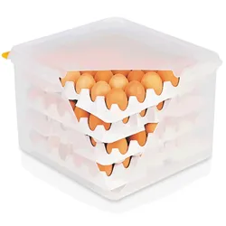 3x HACCP Eierbox Transportbox