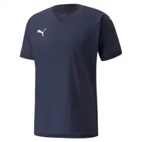 Puma Teamfinal Trikot (705016)