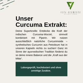 vita elements nature's power Vita Elements Curcuma Extrakt Kapseln 90 St.