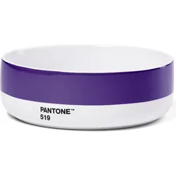 Pantone Schale 14,5 cm violett