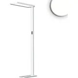 ISOLED LED Office Pro Stehleuchte UpDown, 80W20W, silber, UGR