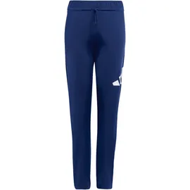 adidas Essentials Climacool Trainingsanzug J BL TR TS 205 JV9959 - team royal blue/white 140