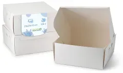 Greenbox Kuchenbox, aus weißer Pappe DRE02553 , 1 Packung = 100 Stück, Maße (L x B x H): 23 x 23 x 10 cm