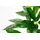 i.ge.a Kunstpflanze Schefflera im Wasserhyazinthentopf, ca. H48 cm, Grün