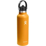 Hydro Flask 21 Oz Standard Flex Straw Cap - Isolierflasche Fossil 21 oz 621 ml