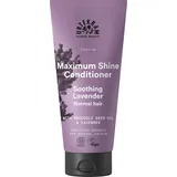 Urtekram Purple Lavender Conditioner Glanz Bio 180 ml