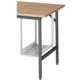 Rau RAU, Tastatur- u.Mausablage B640xH485xT85mm f.Arbeitstische 9000425480-487 RAU - 09-TA1-51356.12