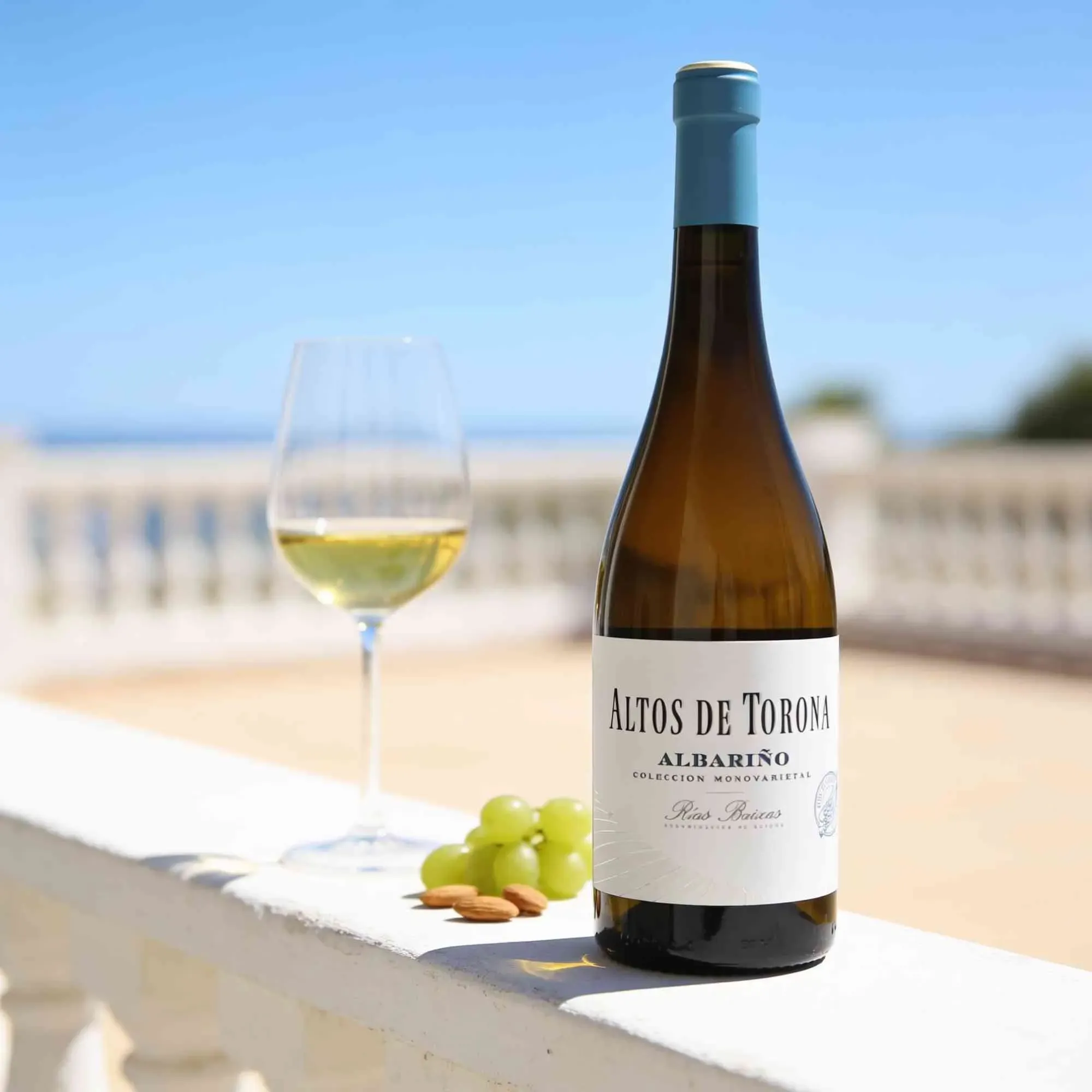 Bodegas Izadi 2024 Bodegas Altos de Torona Albarino  2024 Albarino Spanien