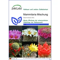SAFLAX - Mammilaria Mischung - Mammilaria Mix - 40