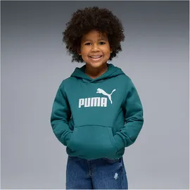 Puma Hoodie Emerald Ice 110