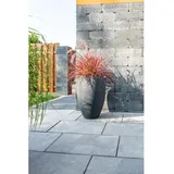 Diephaus Terrassenplatte Nano Tec Weiß-Schwarz 60 x 40 x 4 cm