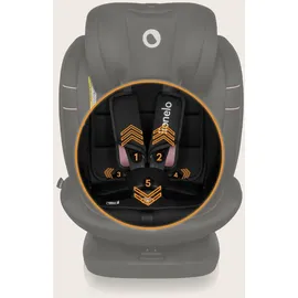 lionelo Bastiaan i-Size Kindersitz ab Geburt 0-36 kg Isofix Top Tether 360 Grad drehbar Rückwärts Vorwärts Seitenschutz 5-Punkt-Sicherheitsgurte Dri-Seat (Rosa Rose)