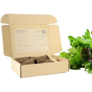 PlantPlugs | Salat-Quartett 8er-Pack
