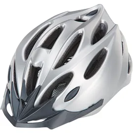 Prophete 58-61 cm grau/silber matt 2023