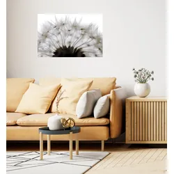 Wandsticker QUEENCE "Pusteblume", weiß, T:0,1cm, Folie, Wandtattoos, Selbstklebend, kinderleichte Anbringung
