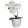 Mica decorations Mica Kunstpflanze Phalaenopsis Im Topf Weiß, 26 X 12 Cm Kunstpflanzen