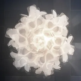 Slamp Clizia Mama Non Mama 8503343