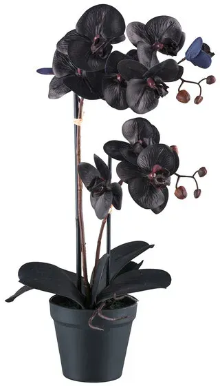 Künstl. Phalaenopsis im Kunststofftopf 53 cm