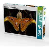 Calvendo Atlasseidenspinner Attacus atlas Puzzle