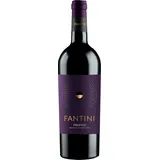 vini fantini Fantini Primitivo