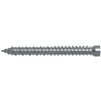 Fischer Fensterrahmenschraube FFSZ 7,5 x 62 100 Stück