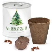 MacFlowers® Weihnachtsbaum Nordmanntanne | Dein Anzuchtset | Alles enthalten | Nachhaltig Schenken | Geschenk für Frauen und Männer | Adventskalender Füllung Wichteln Weihnachten