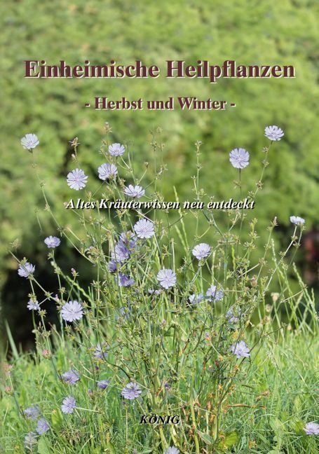 Einheimische Heilpflanzen - Herbst Und Winter  Kartoniert (TB)